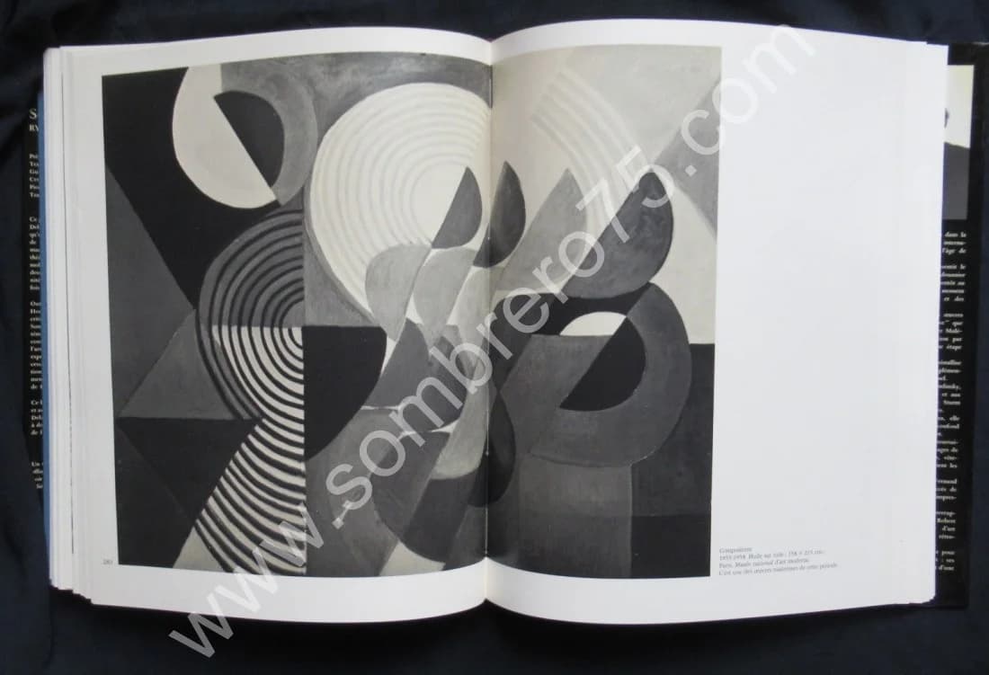 Sonia Delaunay - Rythmes et Couleurs - Image 10