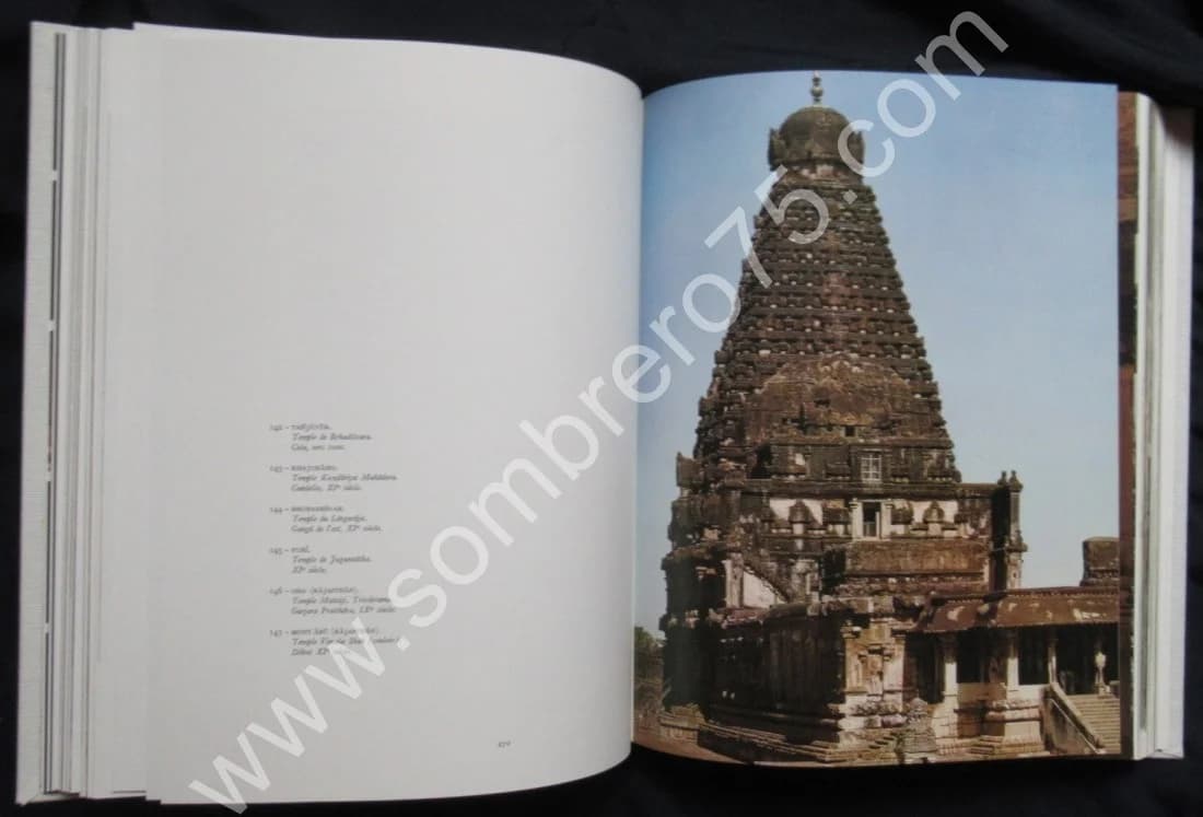 L'Art en Inde - C. SIVARAMANURTI - Image 11