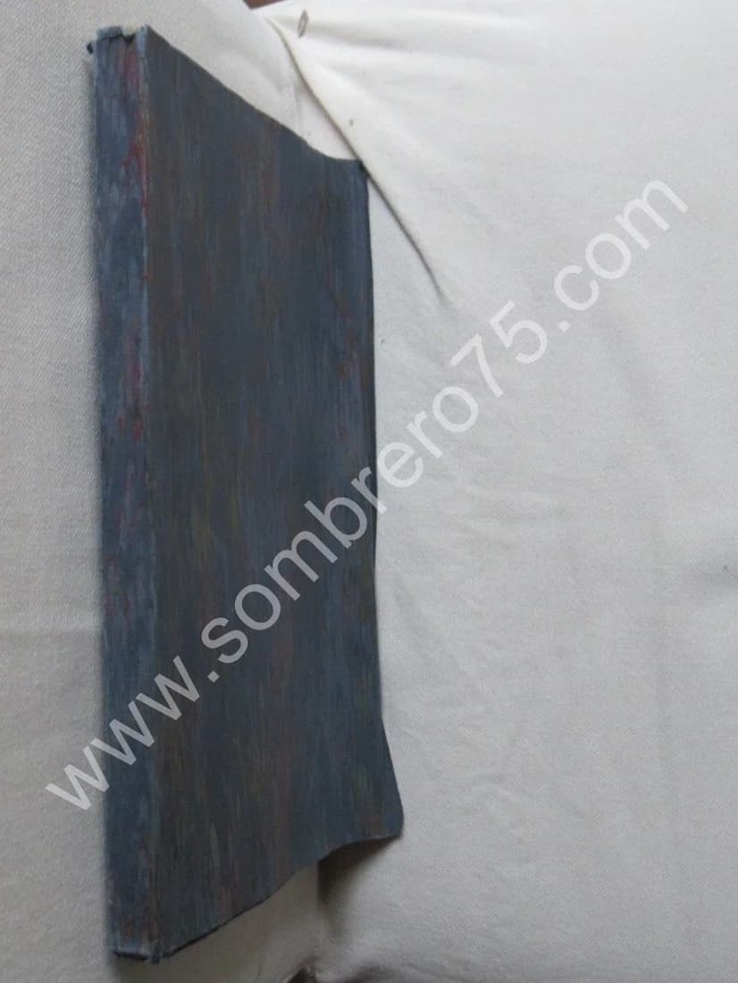 Thèse - L'Histoire Critique de l'Hystérie - Image 2