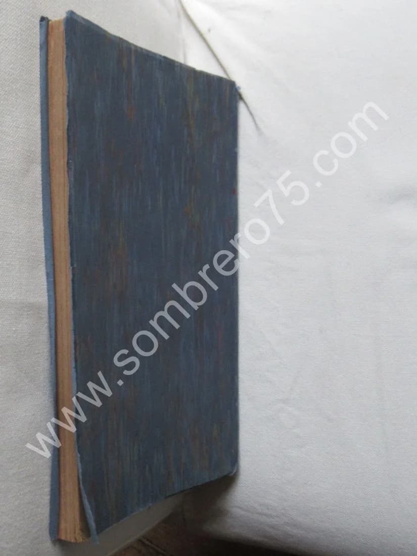 Thèse - L'Histoire Critique de l'Hystérie - Image 7