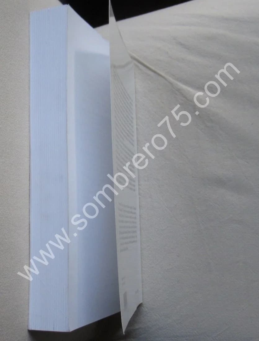 Délibération et Pouvoir dans la cité grecque de Nestor à Socrate. Fr. RUZE - Image 9