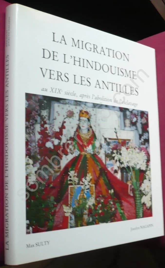La Migration de l'Hindouisme vers les Antilles au XIXème Siècle, après l'Abolition de l'Esclavage - Image 2