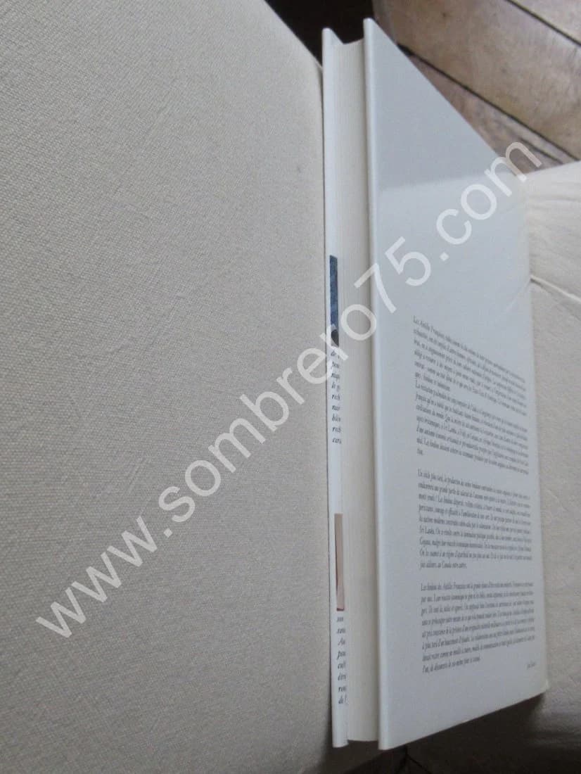 La Migration de l'Hindouisme vers les Antilles au XIXème Siècle, après l'Abolition de l'Esclavage - Image 11