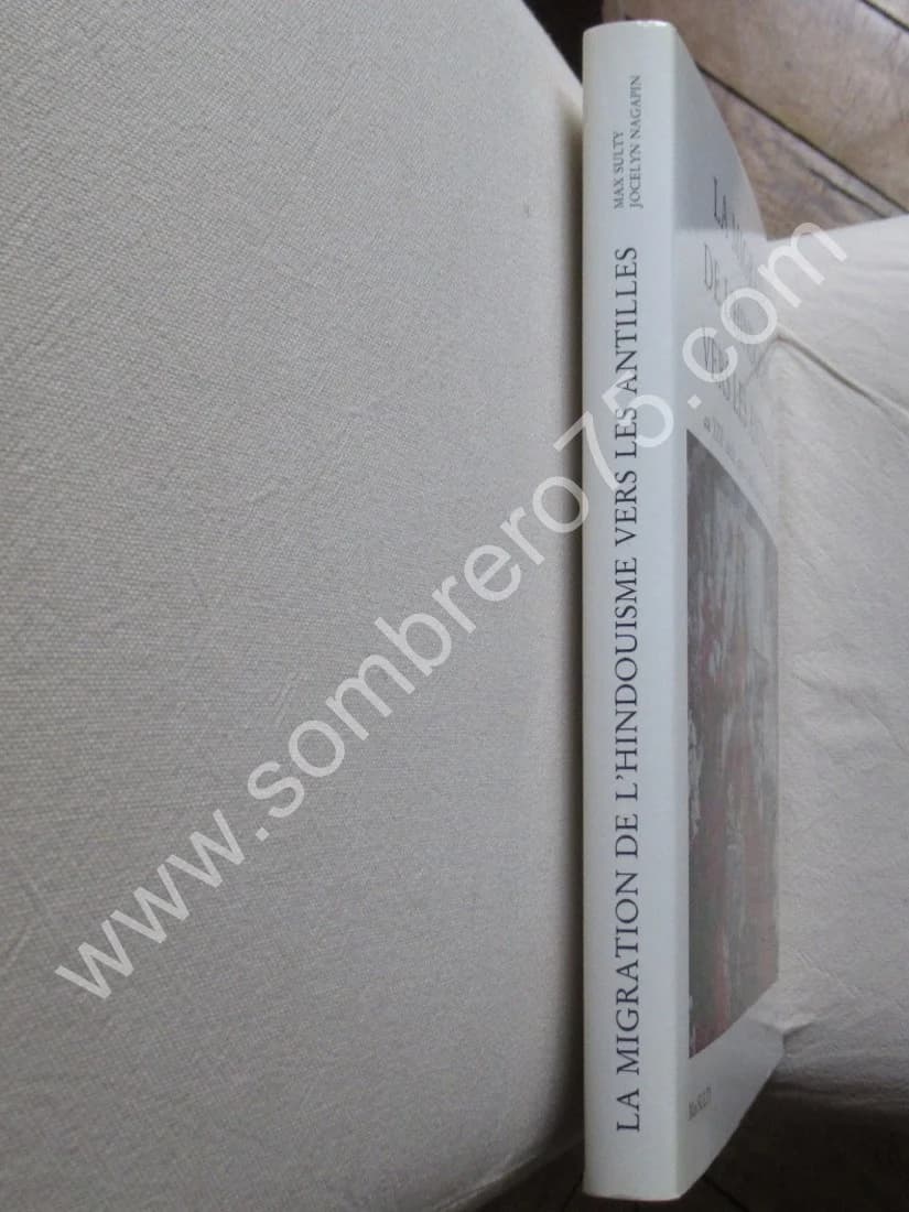 La Migration de l'Hindouisme vers les Antilles au XIXème Siècle, après l'Abolition de l'Esclavage - Image 3