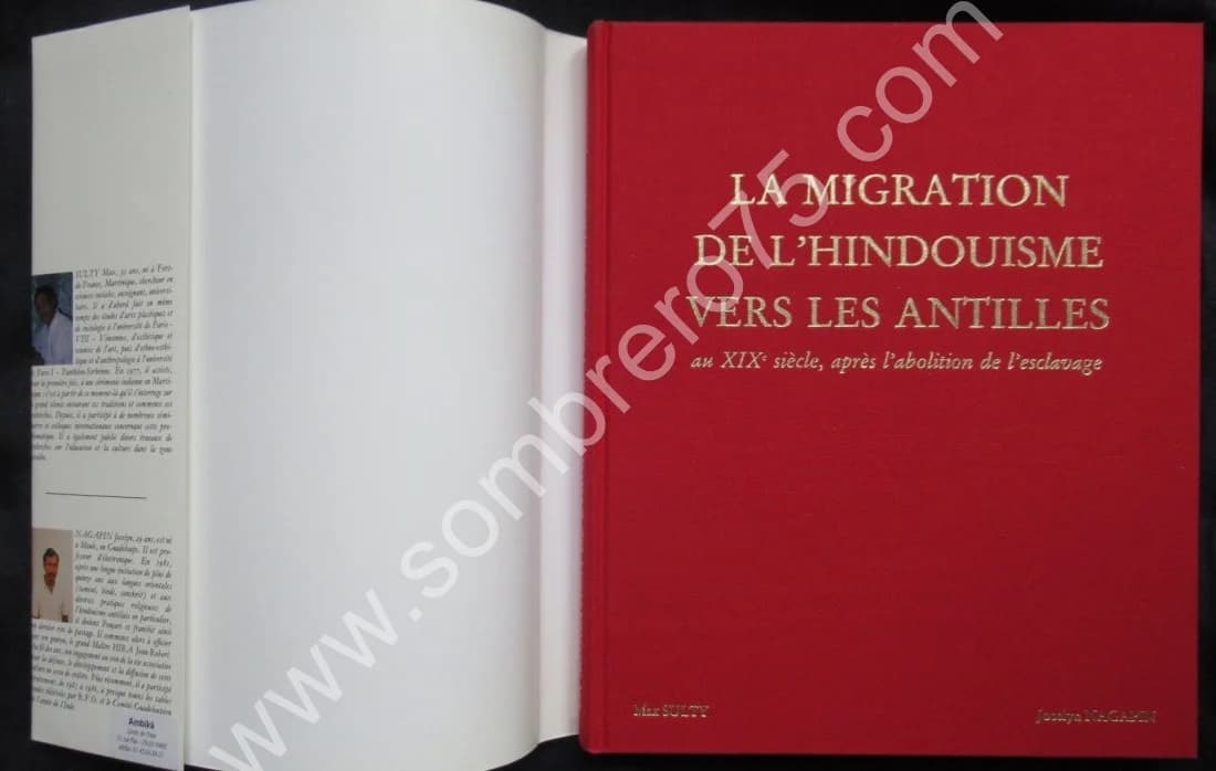 La Migration de l'Hindouisme vers les Antilles au XIXème Siècle, après l'Abolition de l'Esclavage - Image 4
