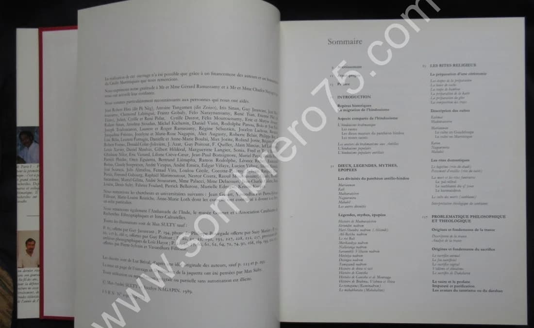 La Migration de l'Hindouisme vers les Antilles au XIXème Siècle, après l'Abolition de l'Esclavage - Image 5