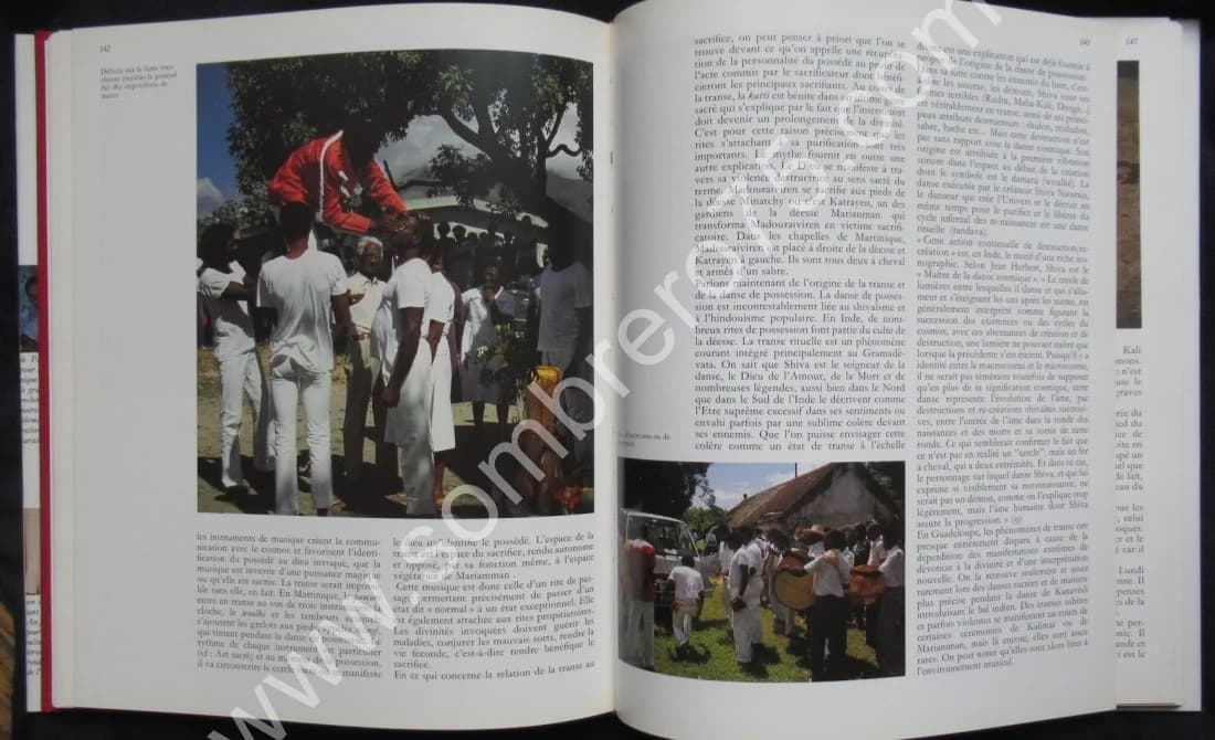 La Migration de l'Hindouisme vers les Antilles au XIXème Siècle, après l'Abolition de l'Esclavage - Image 6