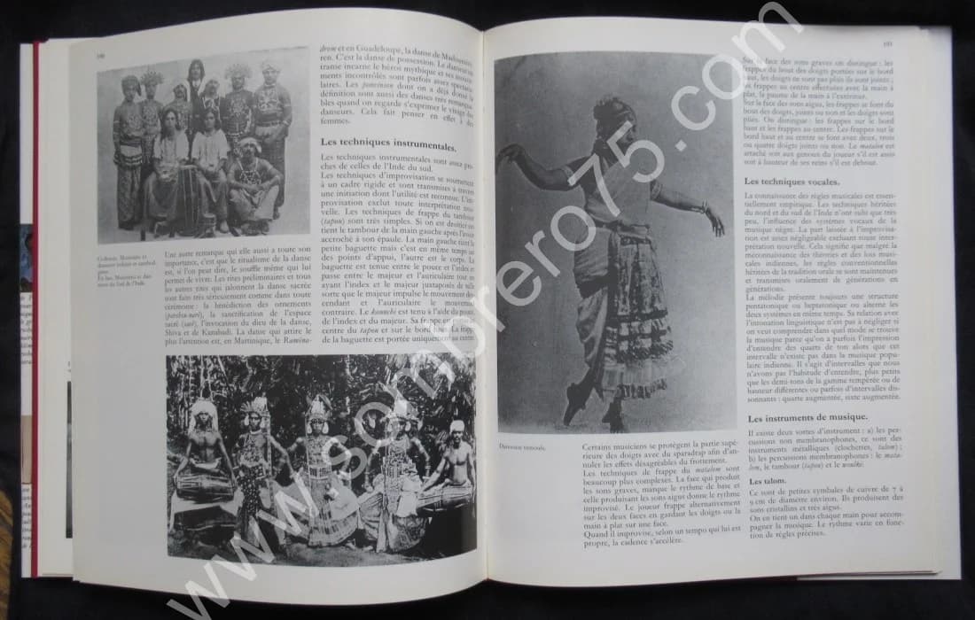 La Migration de l'Hindouisme vers les Antilles au XIXème Siècle, après l'Abolition de l'Esclavage - Image 7
