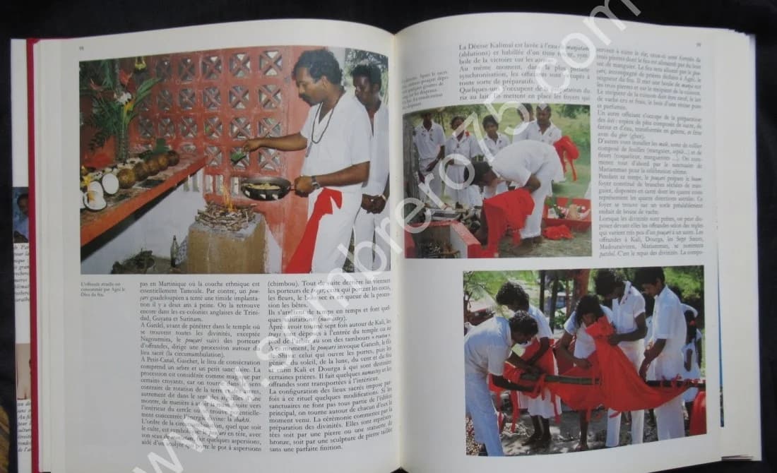 La Migration de l'Hindouisme vers les Antilles au XIXème Siècle, après l'Abolition de l'Esclavage - Image 8