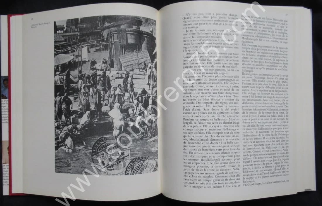 La Migration de l'Hindouisme vers les Antilles au XIXème Siècle, après l'Abolition de l'Esclavage - Image 9