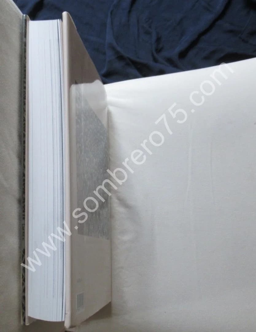 Arabesques - Art Décoratif au Maroc. Jean Marc CASTERA - Image 13