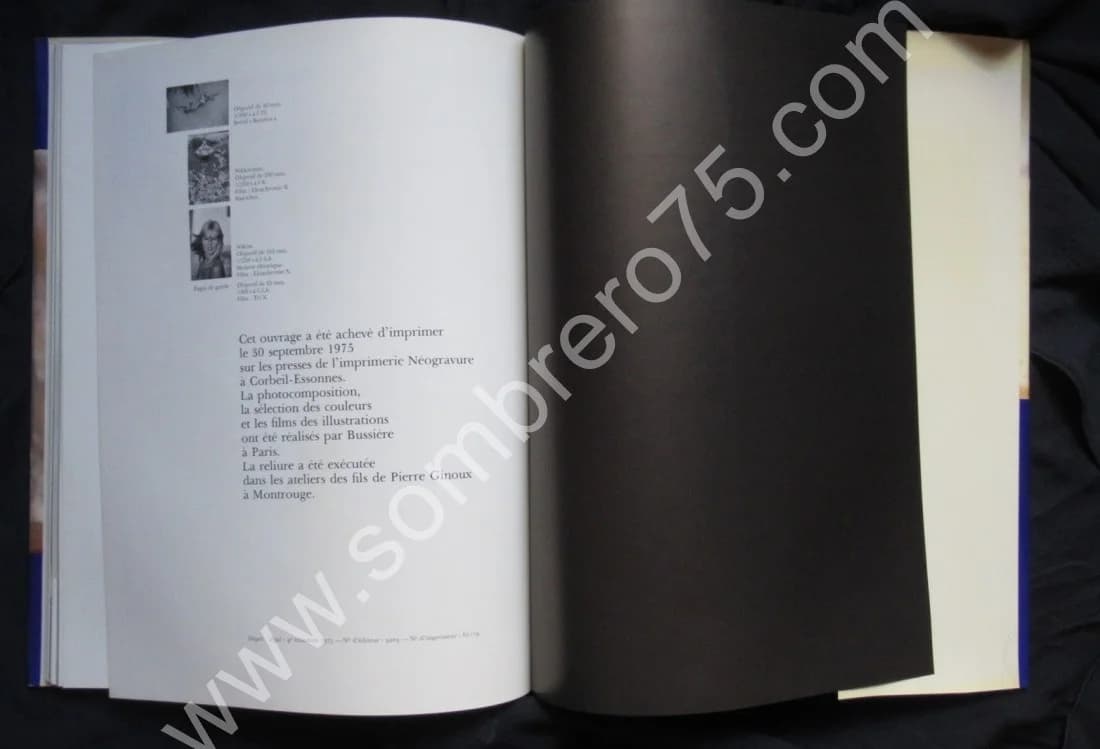 Brigitte BARDOT - Image 8