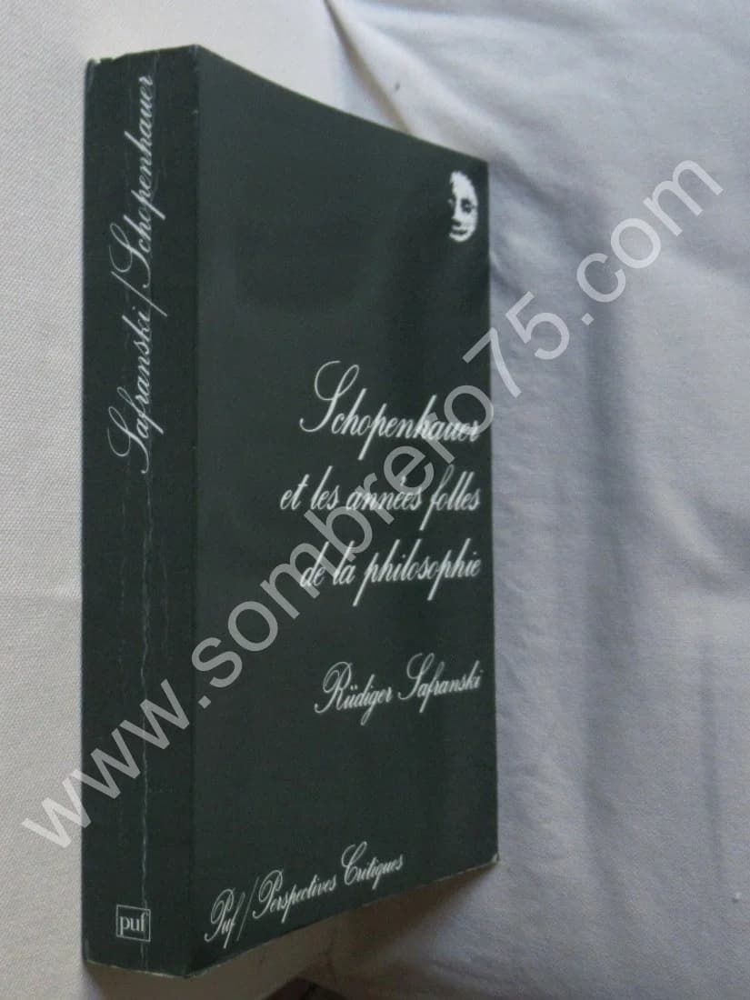 Schopenhauer et les Années Folles de la Philosophie - Image 2