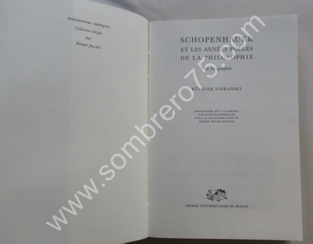 Schopenhauer et les Années Folles de la Philosophie - Image 3