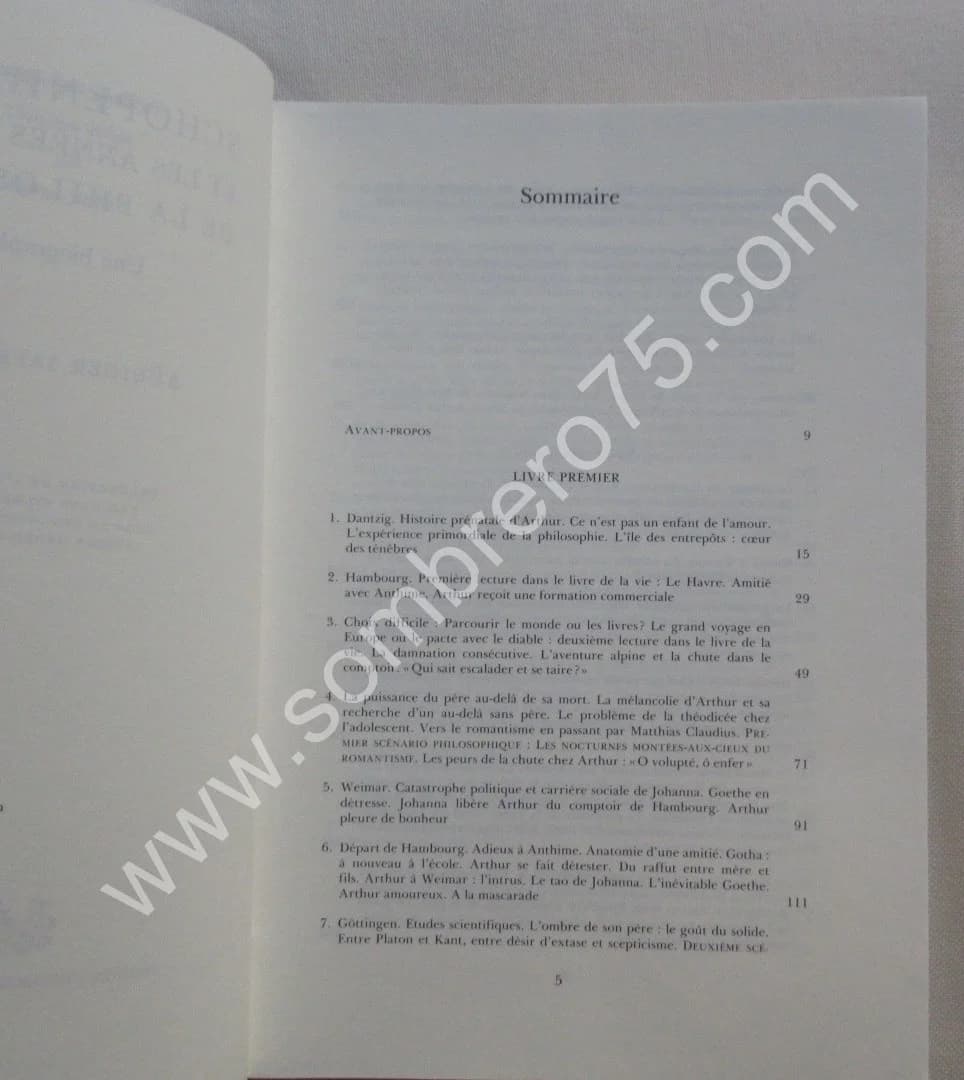 Schopenhauer et les Années Folles de la Philosophie - Image 5