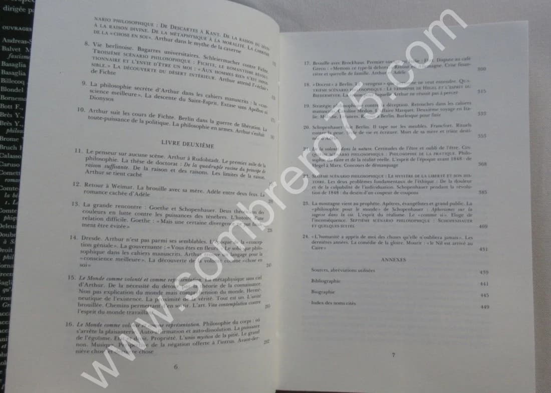 Schopenhauer et les Années Folles de la Philosophie - Image 6