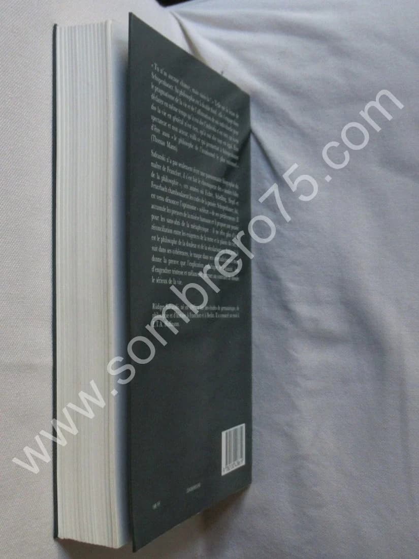 Schopenhauer et les Années Folles de la Philosophie - Image 8