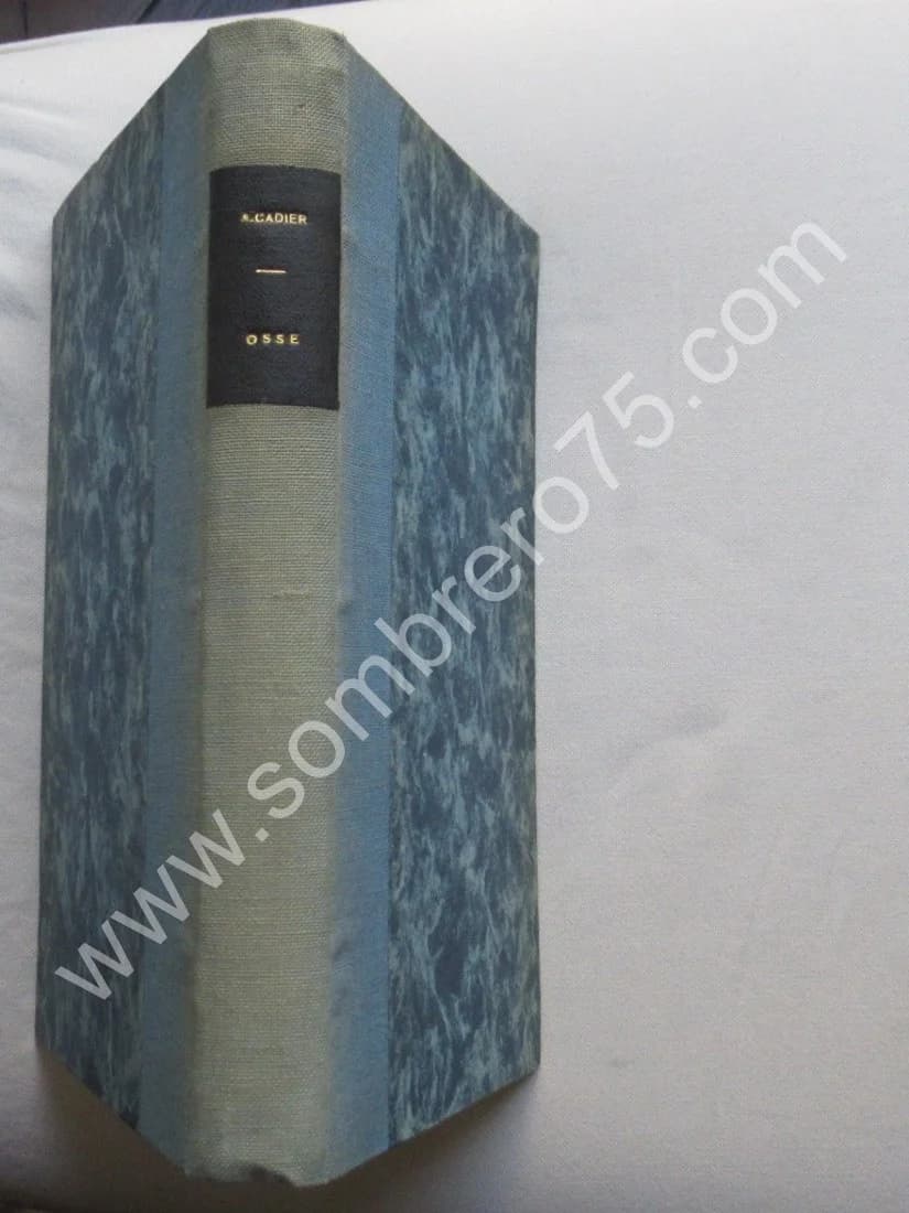 Osse -Histoire de l'Eglise Réformée de la Vallée d'Aspe