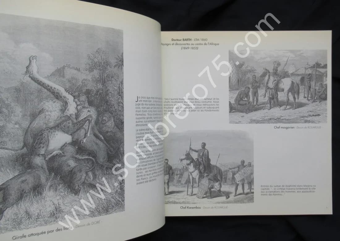 L'Afrique Fantastique par les Explorateurs et les Dessinateurs du XIXe - Image 4