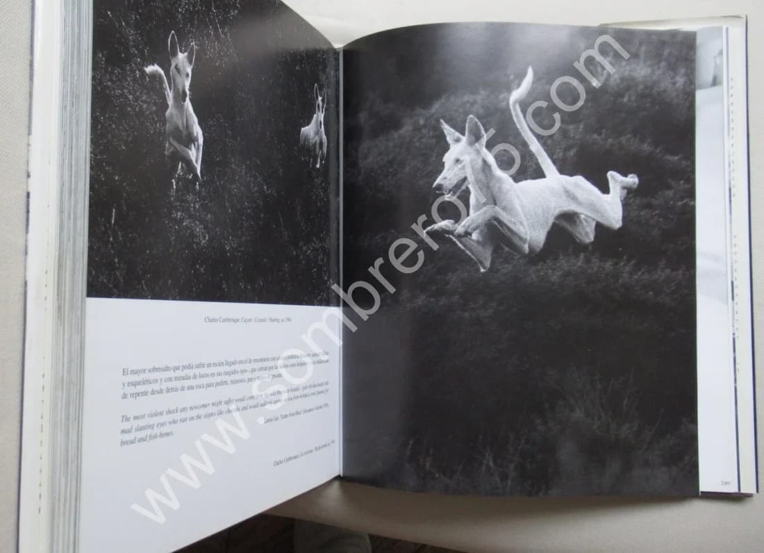 Eivissa Ibiza. Cent ans d'Ombre et de Lumière - Image 8