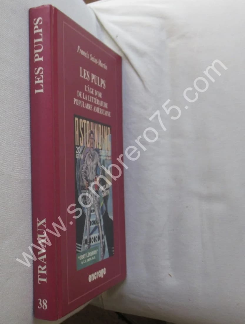 Les Pulps L'Âge d'Or de la Littérature Populaire Américaine. Fr. SAINT MARTIN - Image 2