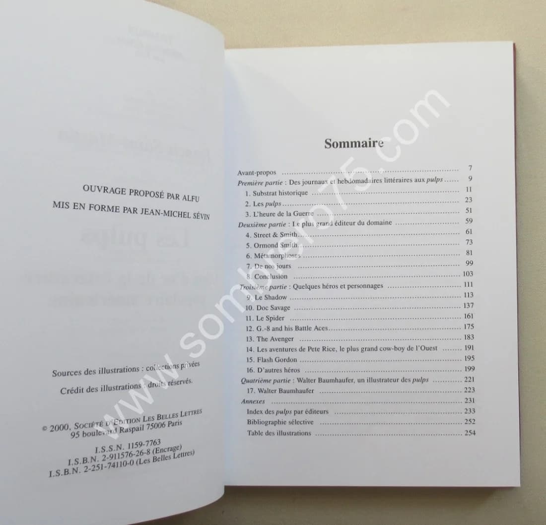 Les Pulps L'Âge d'Or de la Littérature Populaire Américaine. Fr. SAINT MARTIN - Image 4