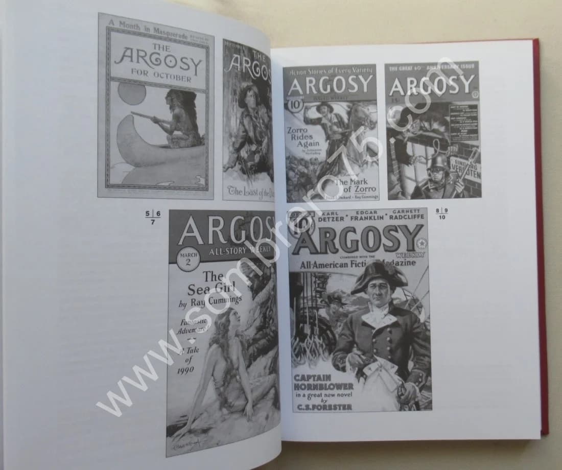 Les Pulps L'Âge d'Or de la Littérature Populaire Américaine. Fr. SAINT MARTIN - Image 5