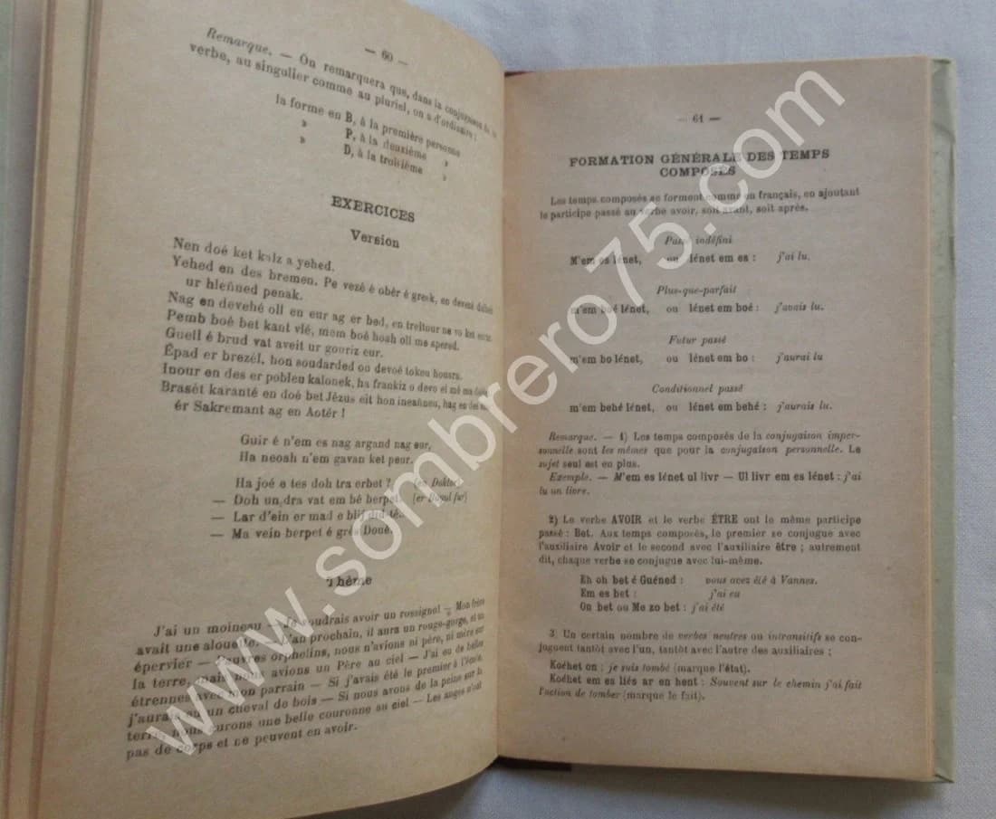 Précis de Grammaire Bretonne Vannetaise. Chanoine MARY - Image 4