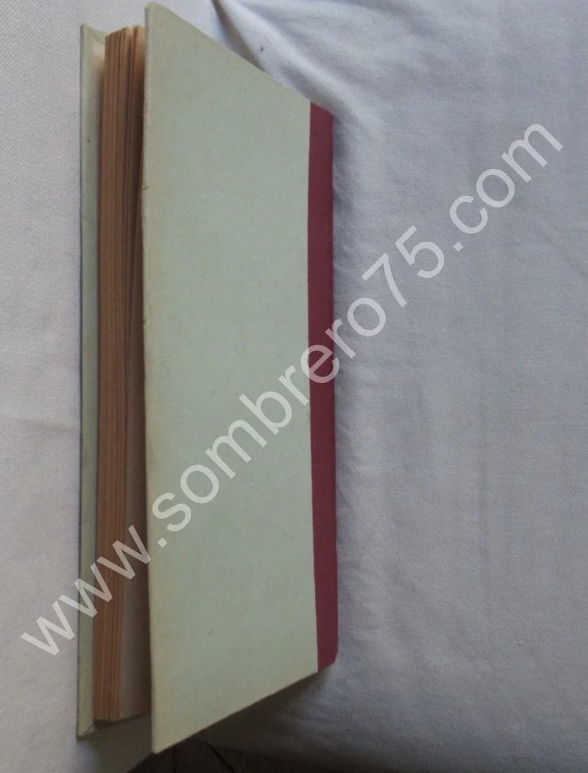 Précis de Grammaire Bretonne Vannetaise. Chanoine MARY - Image 7