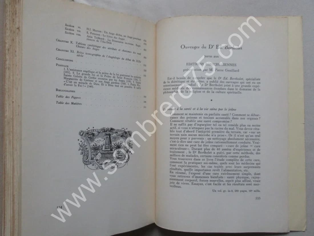 Mystère et Ministère des Anges. Dr. Ed. BERTHOLET - Image 7