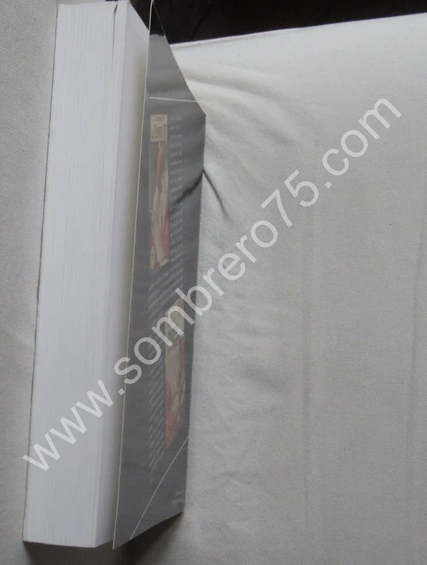 L'Autre Univers de Simenon.Michel LEMOINE - Image 5