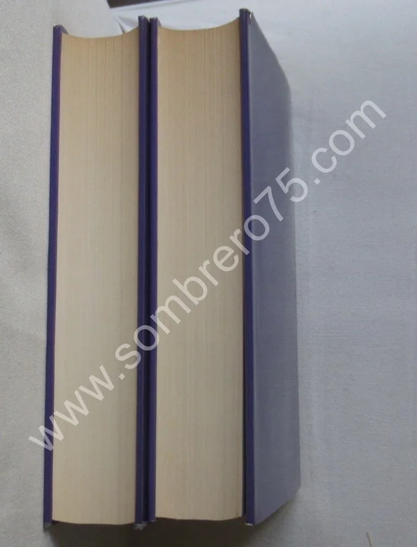 L'Oeuvre Graphique - 2 Tomes. Gustave DORE - Image 10