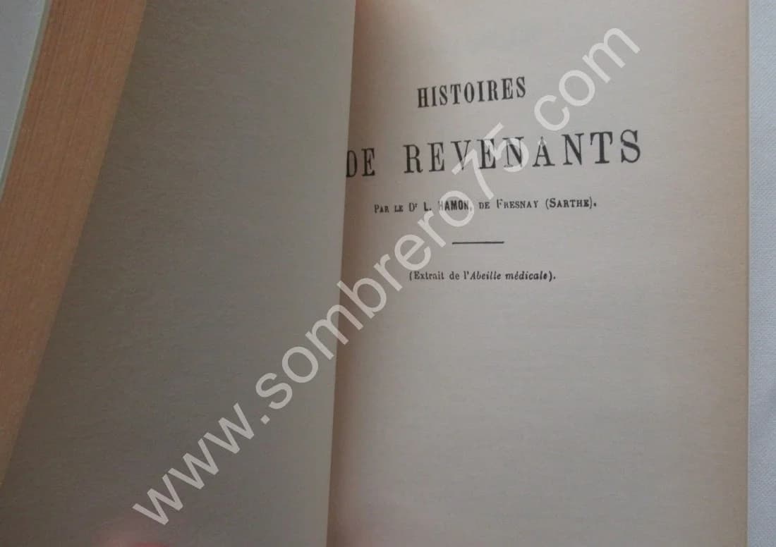 La République Mystérieuse des Elfes, Faunes Fées et autres semblables. R. KIRK - Image 4
