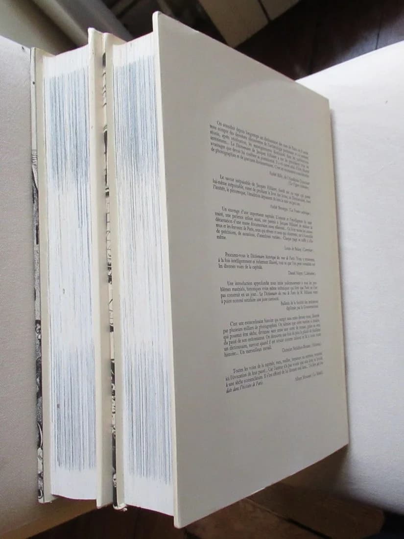 Dictionnaire Historique des Rues de Paris. 1963. Hillaret. 3 volumes - Image 3