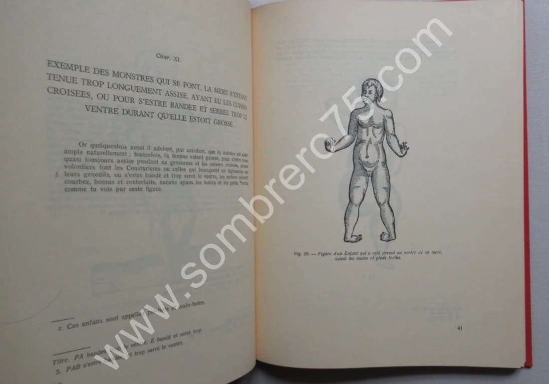 Des Monstres et Prodiges. Edition critique et commentée. - Jean CEARD - Image 3