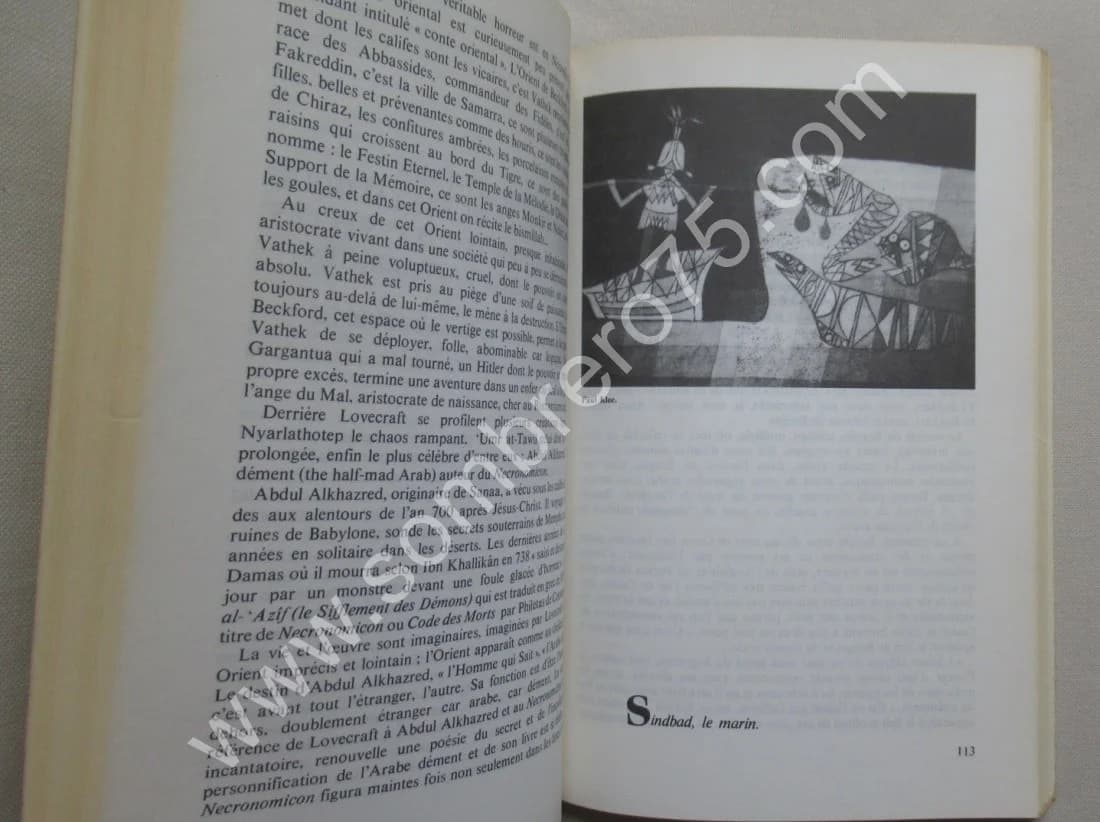 L'Etrange et le Merveilleux dans l'Islam Médiéval. Actes du Colloque tenu au Collège de France à Paris, en mars 1974 - Image 5