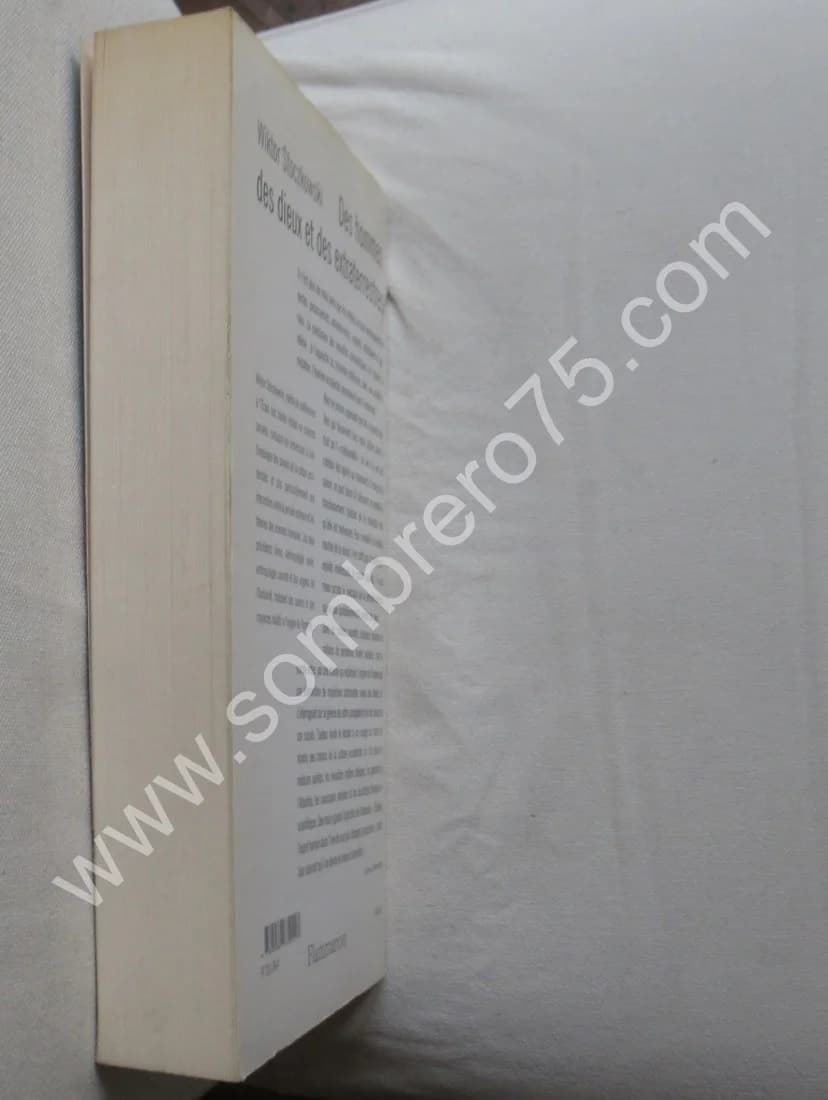 Des Hommes, des Dieux et des Extraterrestres - Image 6