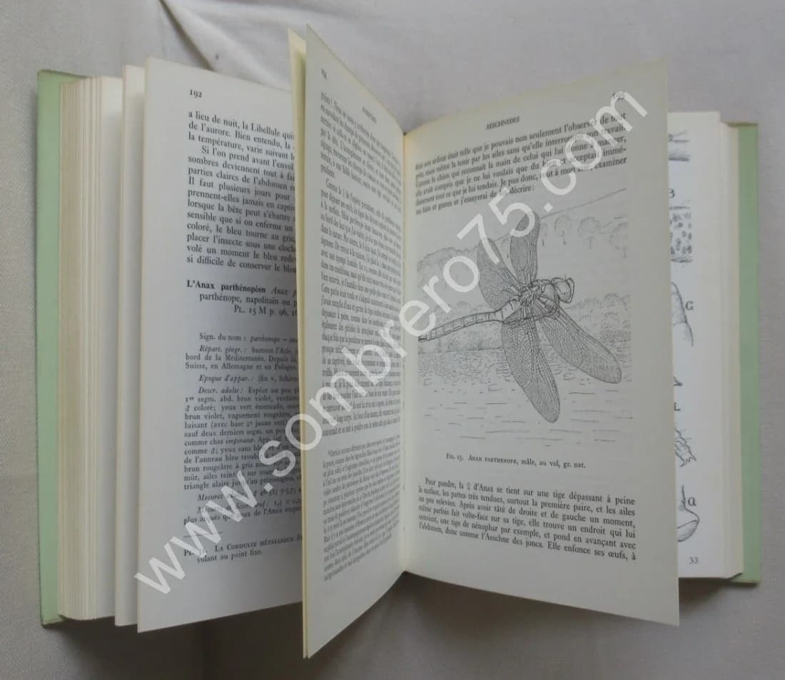 Les Libellules (Odonats). Paul A. ROBERT - Image 4
