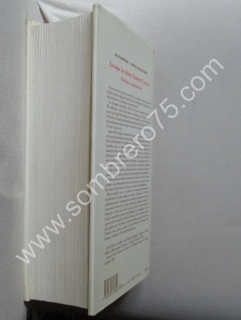 Lorsque les Dieux faisaient l'Homme. Mythologie mésopotamienne - Image 8