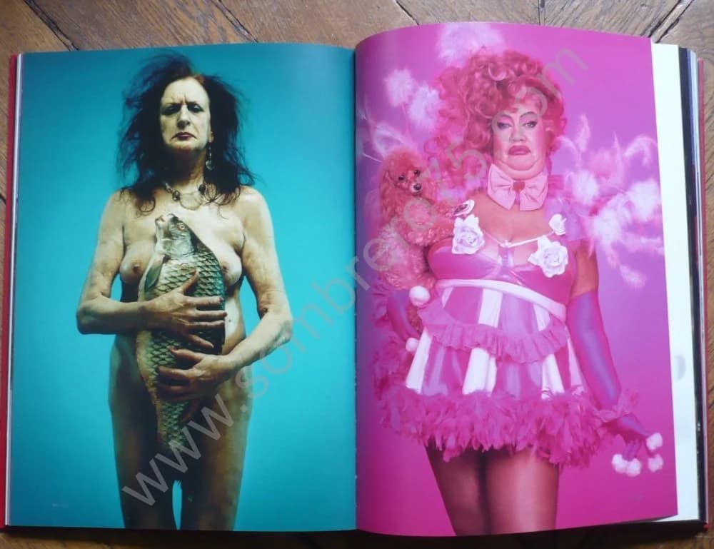 Erwin Olaf - Silver. 2003 - Image 5