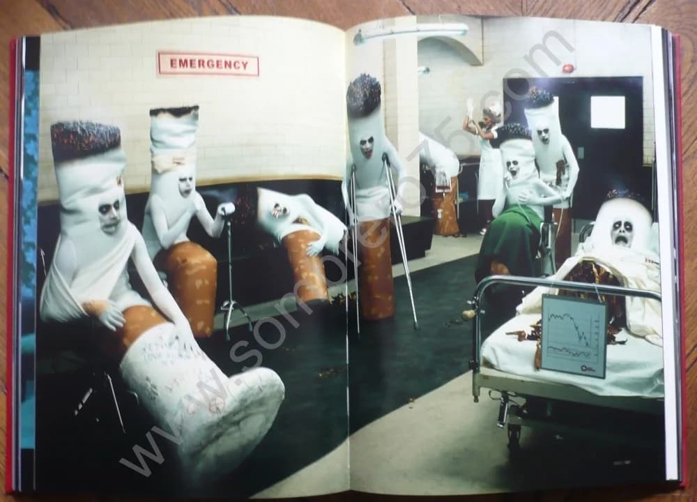 Erwin Olaf - Silver. 2003 - Image 7