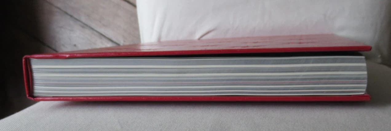 Erwin Olaf - Silver. 2003 - Image 9