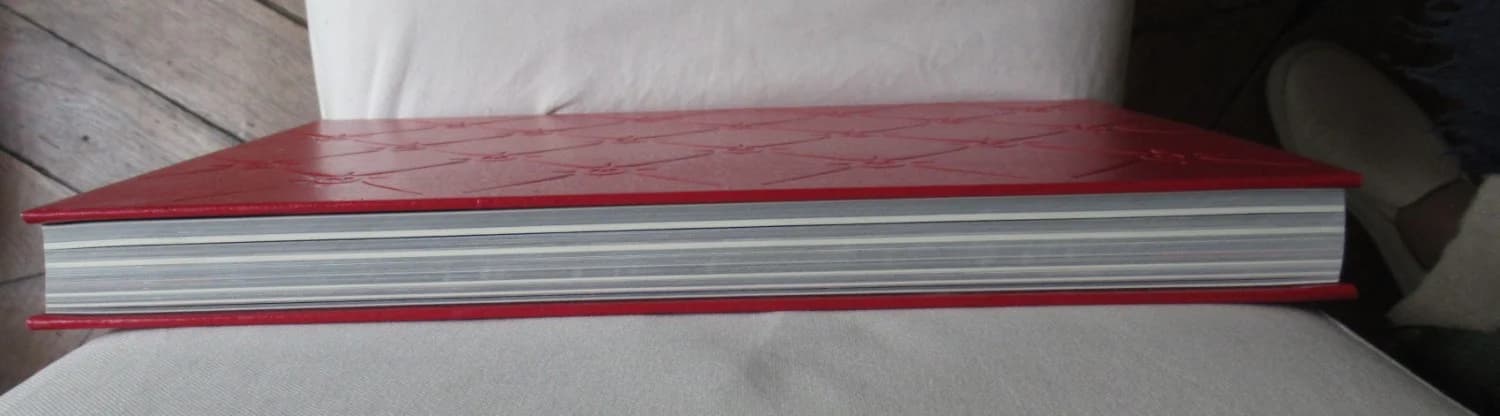 Erwin Olaf - Silver. 2003 - Image 10