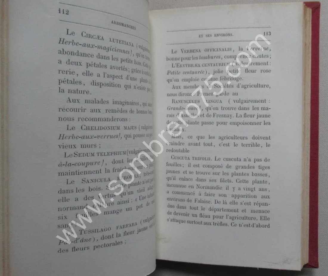 Arromanches et ses environs.. Ed. 1868 - Image 3