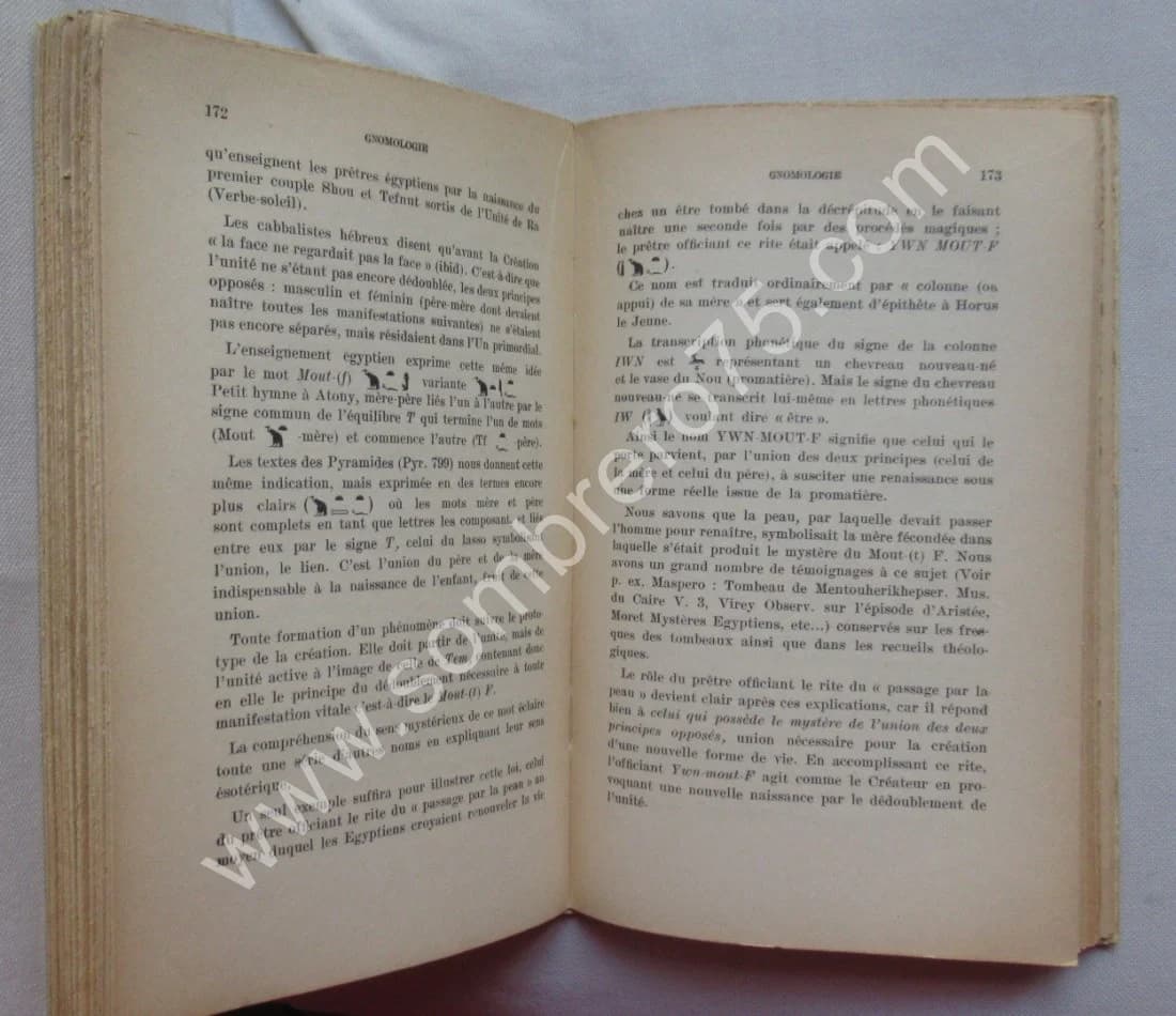 Gnomologie Enseignements et Expériences des anciennes écoles initiatiques - Image 4