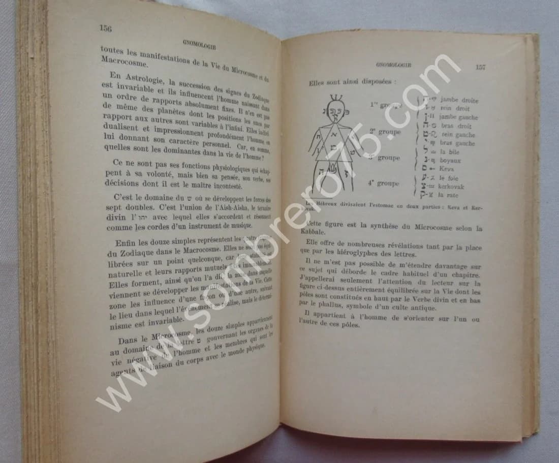 Gnomologie Enseignements et Expériences des anciennes écoles initiatiques - Image 5