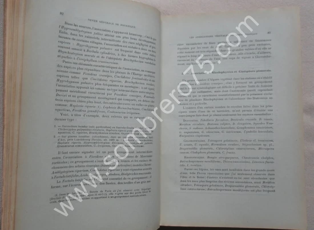 Les Associations Végétales du Vexin Français - Image 4