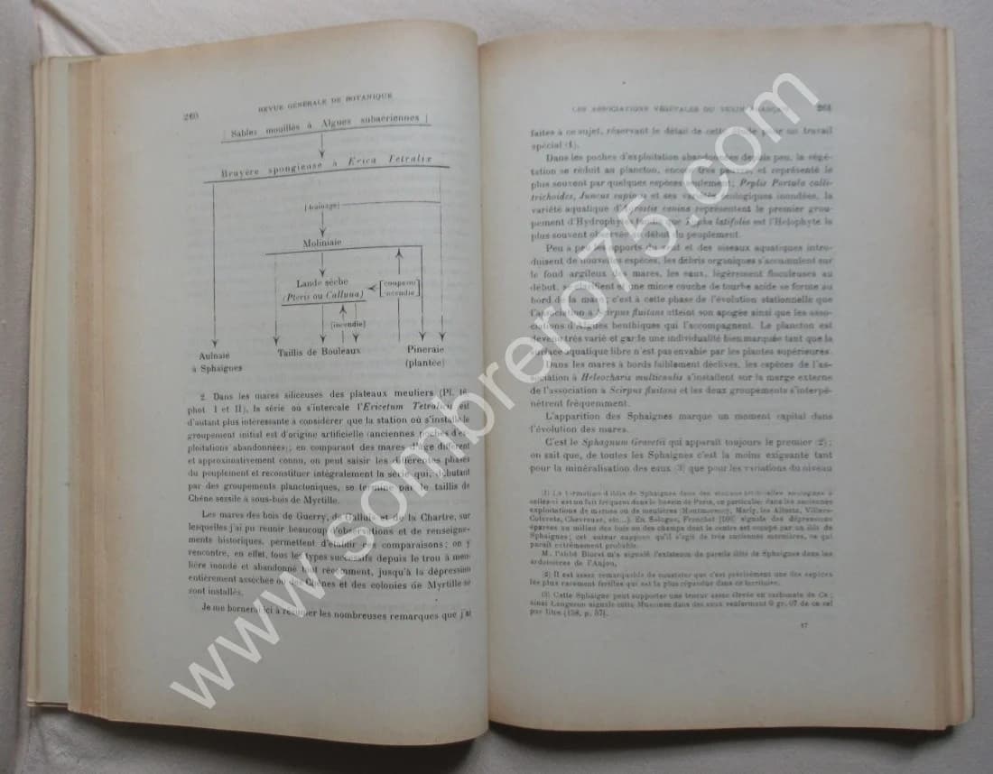 Les Associations Végétales du Vexin Français - Image 5