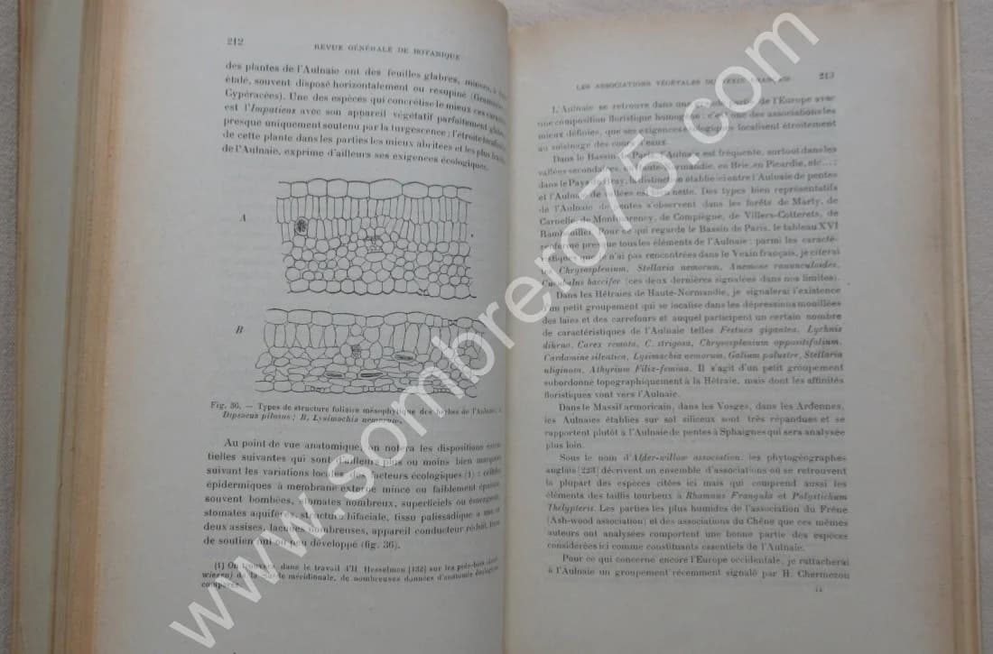 Les Associations Végétales du Vexin Français - Image 6