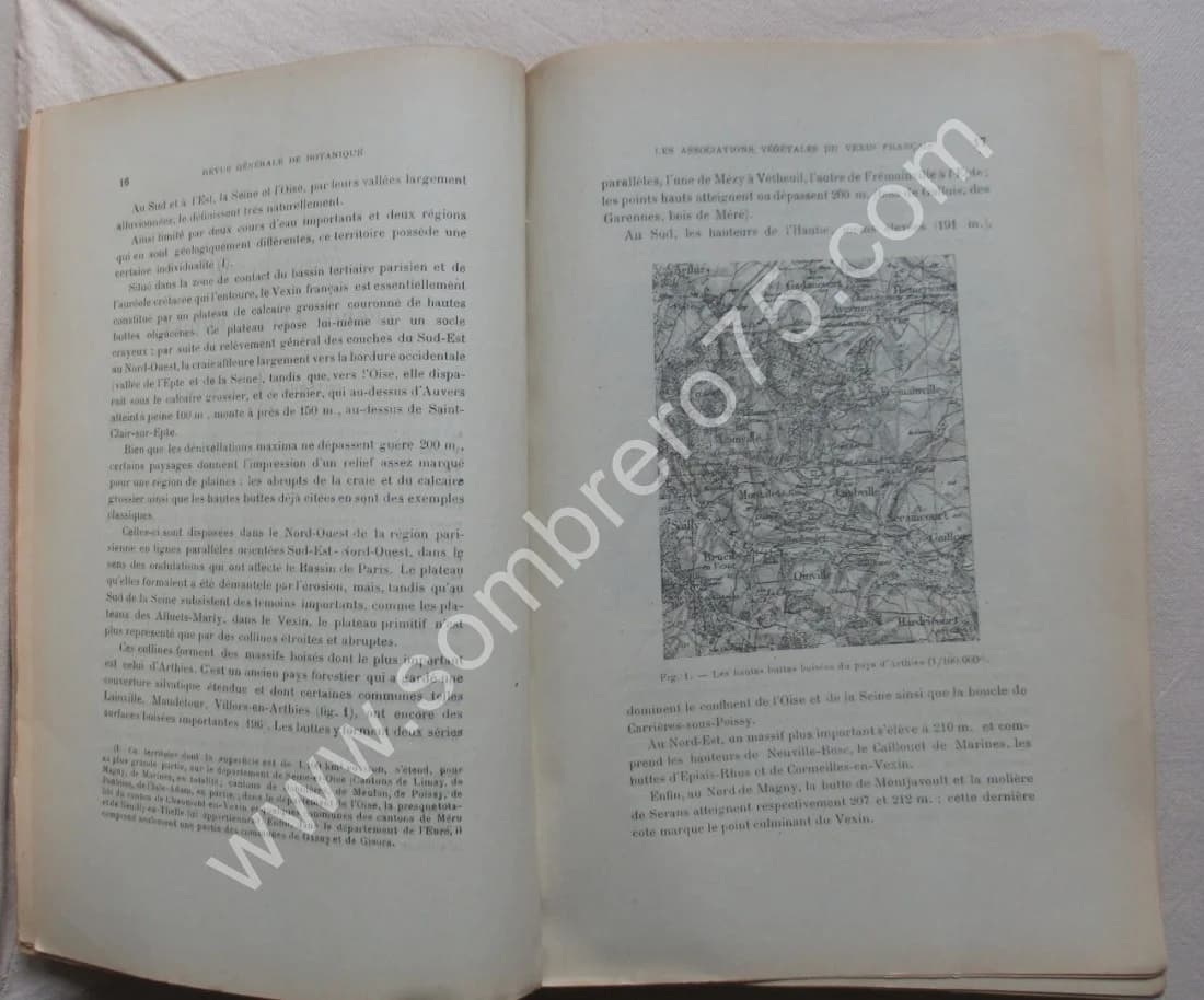 Les Associations Végétales du Vexin Français - Image 7